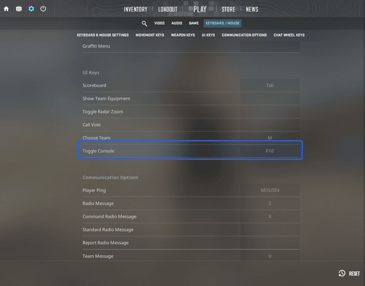 CS2 Keyboard and Mouse settings with Toggle Console bound to F10