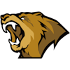 Lynn Vision logo